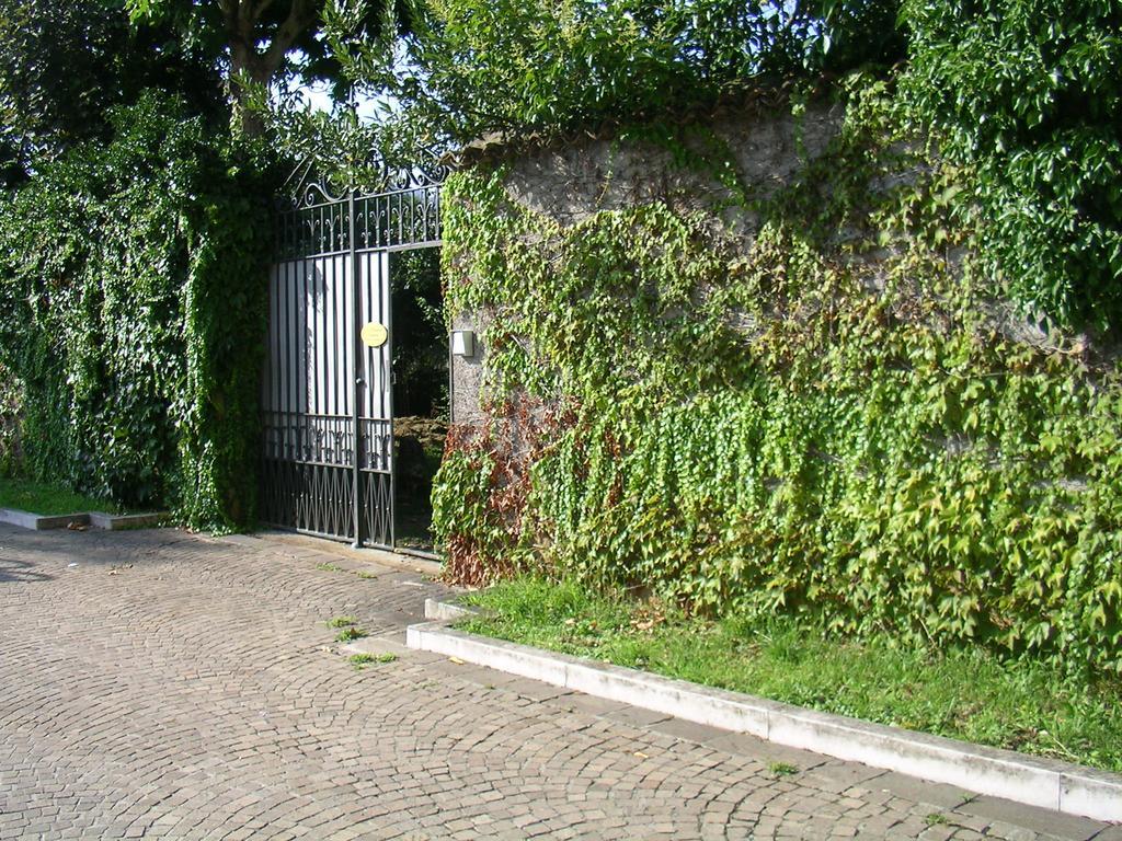 La Patirana Guesthouse Zandobbio Esterno foto