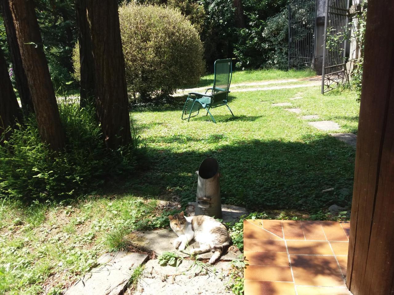 La Patirana Guesthouse Zandobbio Esterno foto